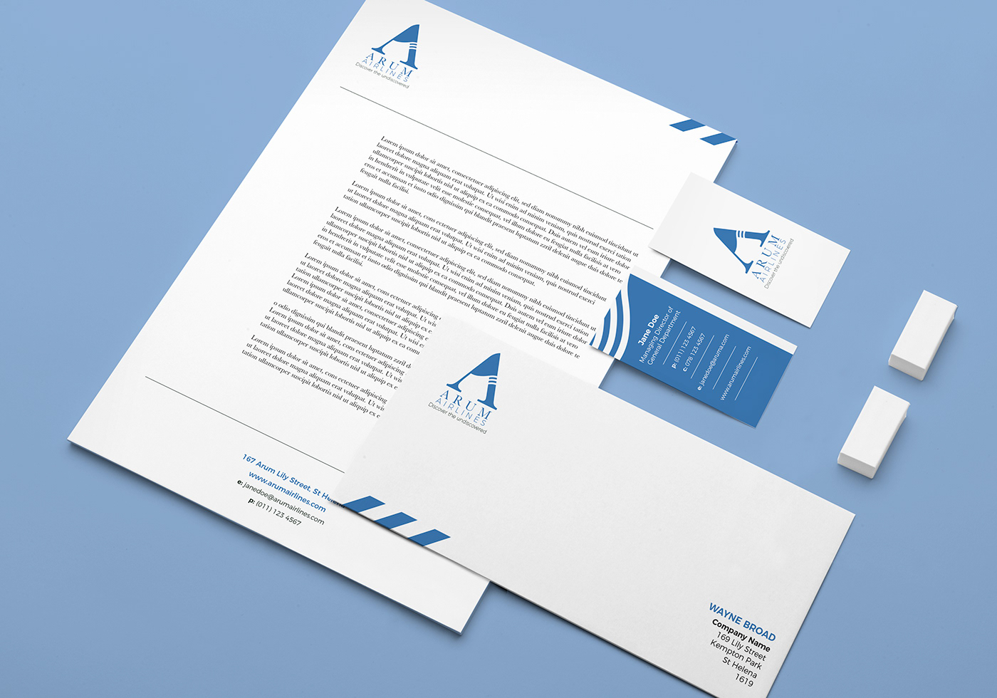 Corporate Identity graphic design  airline branding  brand modern clean professional minimalistic