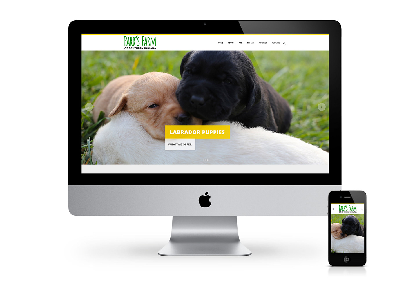 Web Design  dog Small Business wordpress
