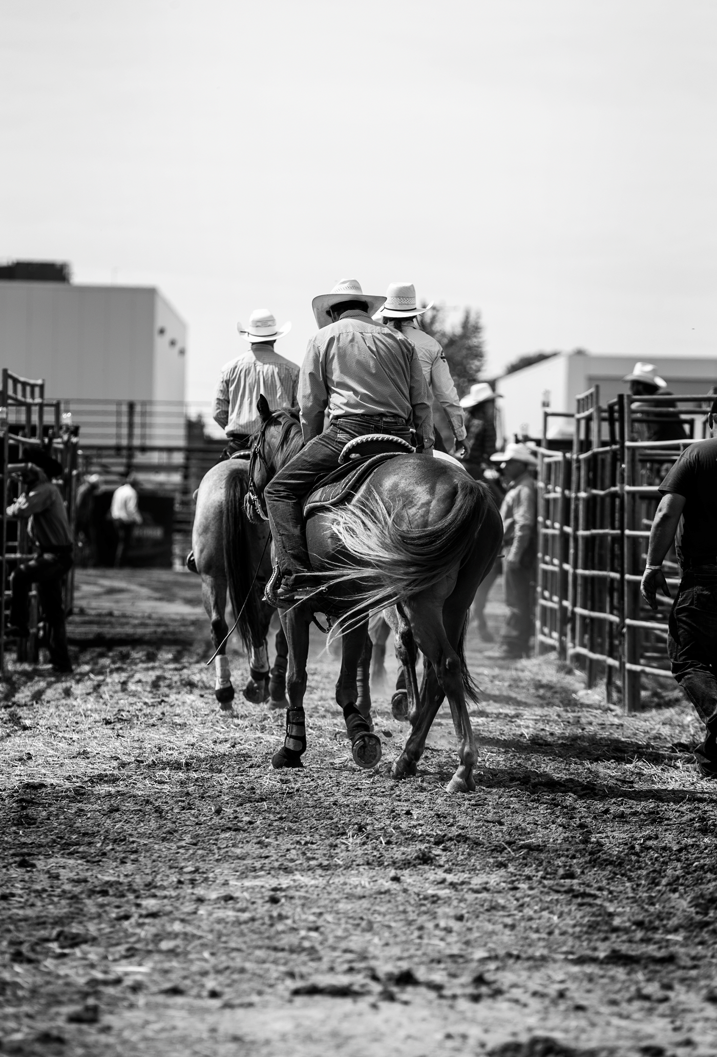 bw photo Canada COWBOYS cowgirls ERQ horse Quebec rodeo western