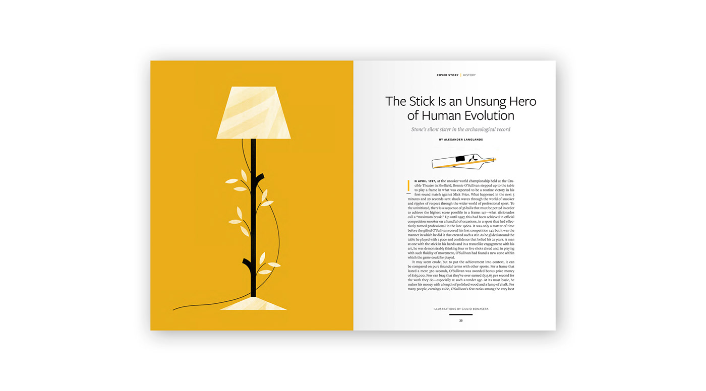 ILLUSTRATION  cover magazine science conceptual graphic minimal Tree  Nature lifestyle
