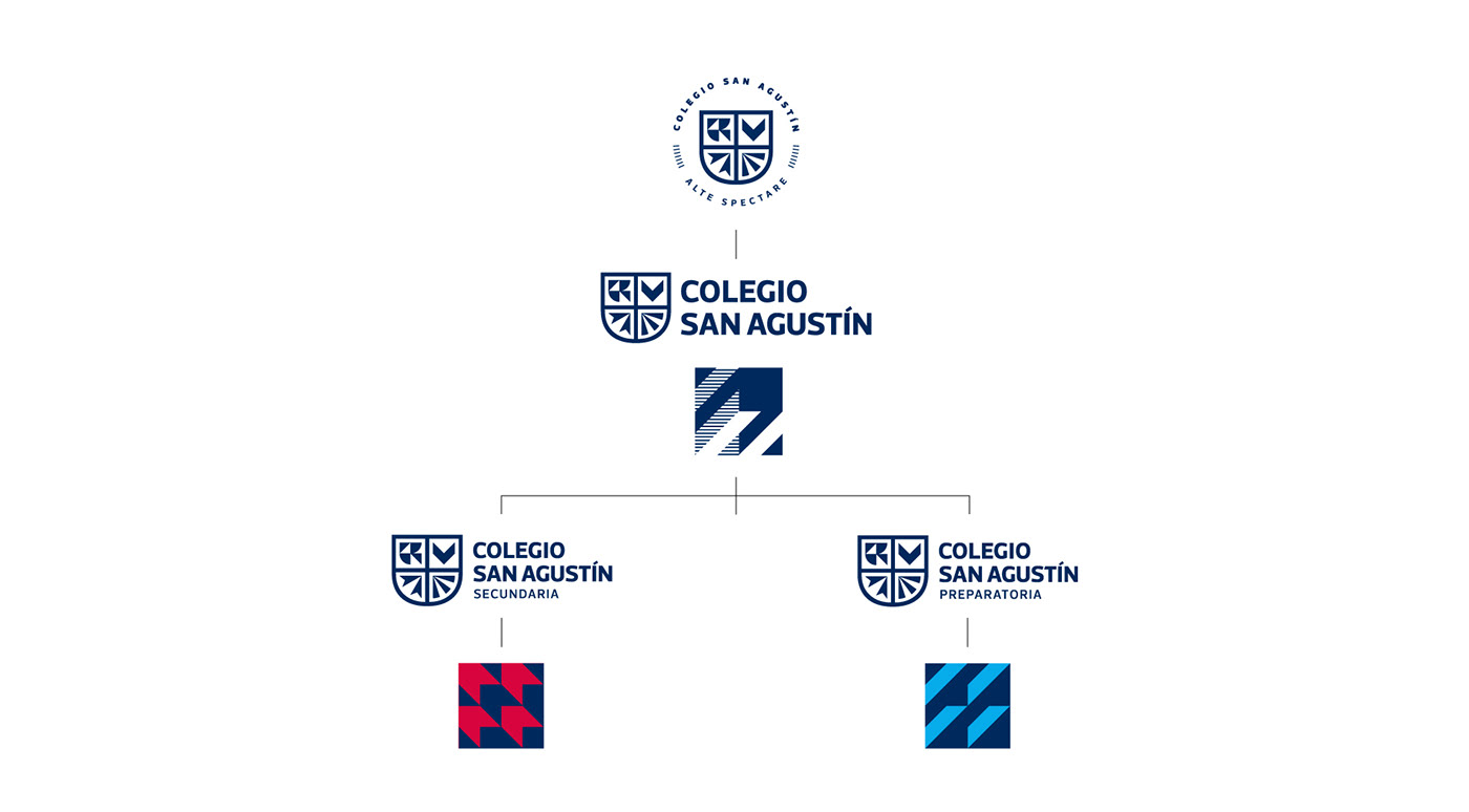 brand identity branding  college logo Logo Design pattern school University visual identity