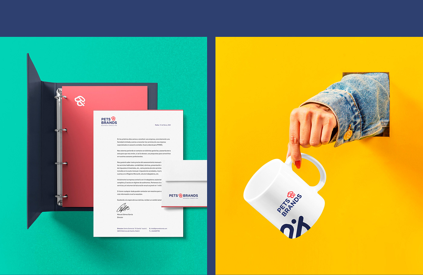 branding  brands design identity Pet rebranding Stationery brand graphicdesign logo