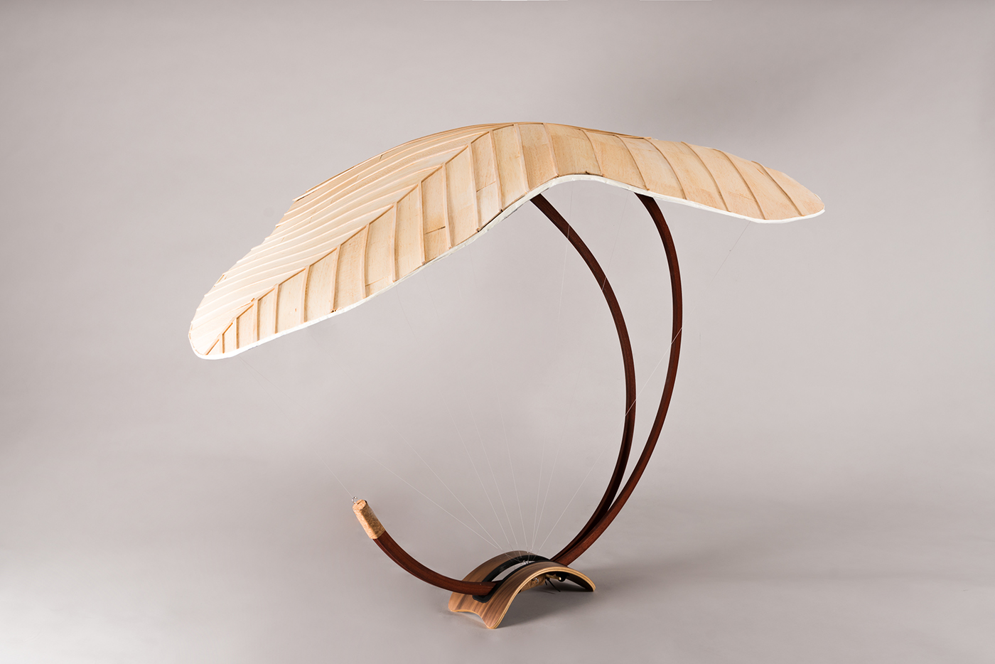 bionik productdesign Photography  productphotography wood Umbrella regenschirm led stripes