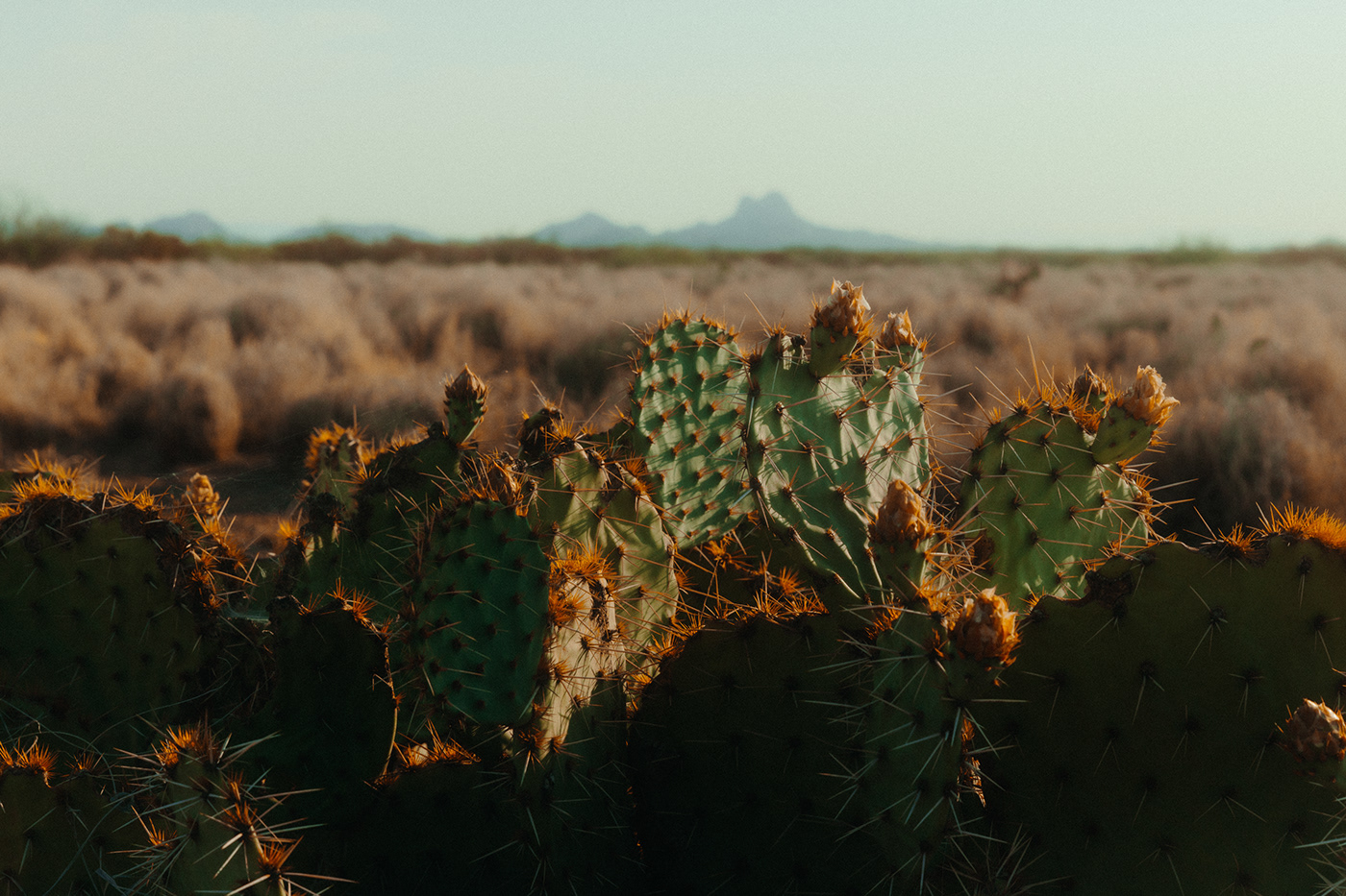 desert Documentary  lifestyle photography Nature Photography 