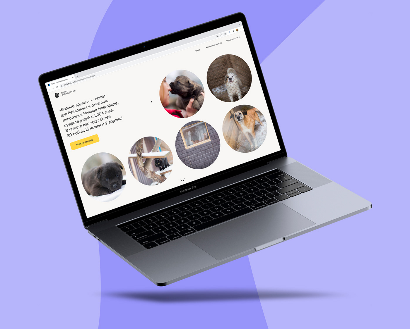 animals Cat dog Figma landing page Web Design  животные приют