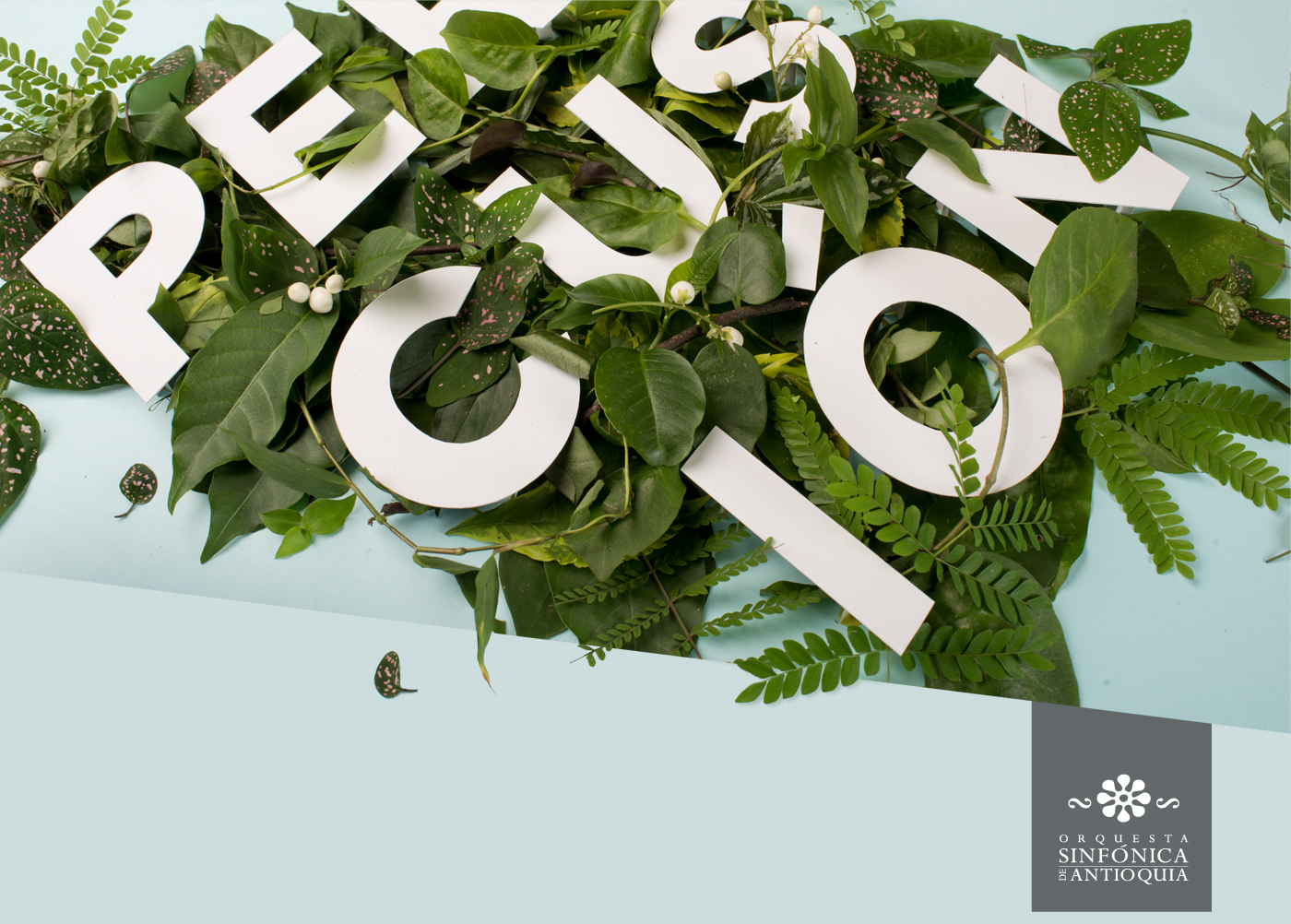 Fotografia retoque naturaleza papel poster sinfonica hojas jungla Percusión