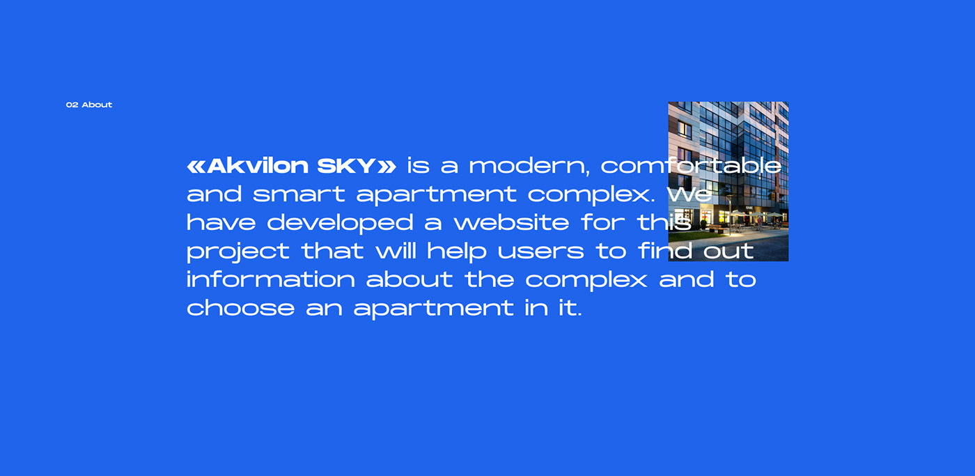 blue estate real estate site SKY UI ux Web недвижимость apartments