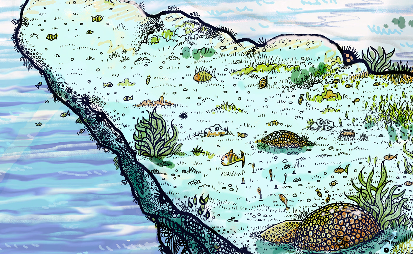 ilustracion mar oceano oceans sea snorkel