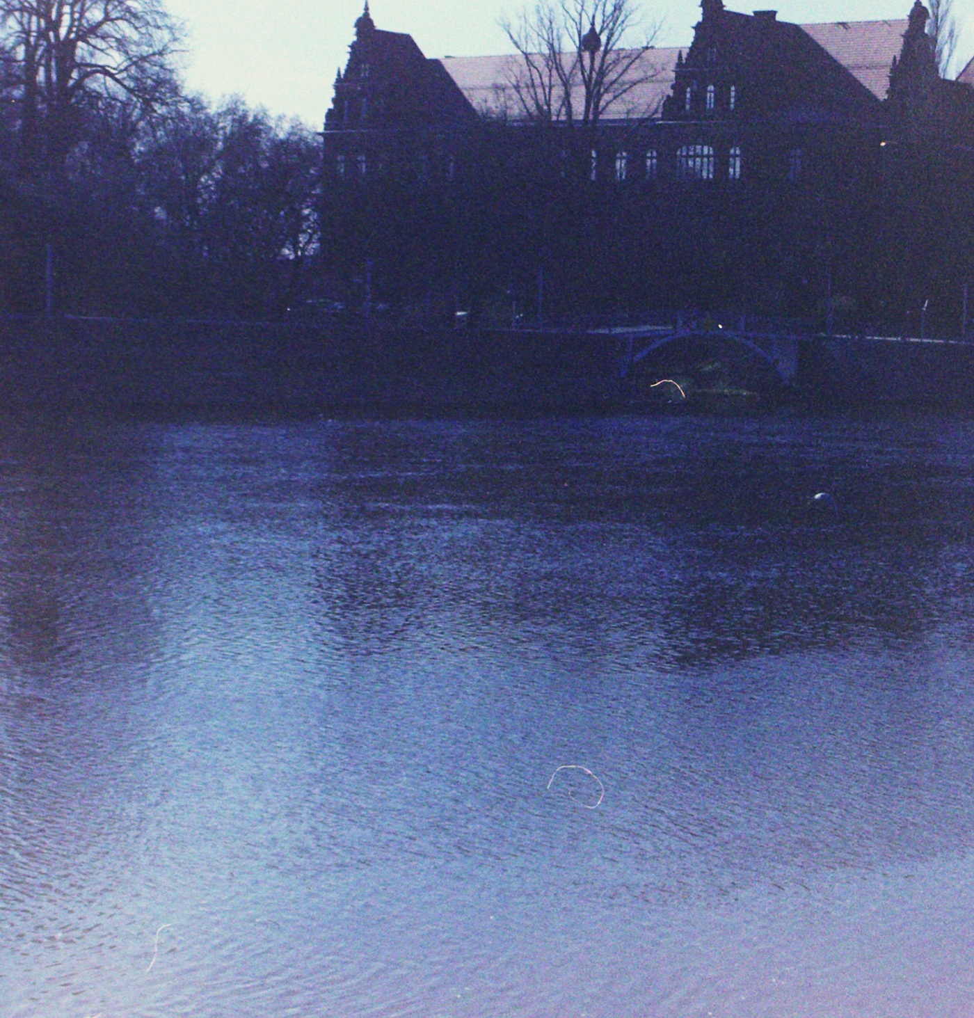 analog Analogue breslau Film   odra Outdoor Photography  river water wroclaw