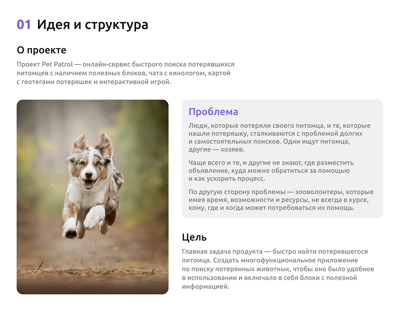 design ux/ui app design mobile Figma Mobile app Case Study pets app user interface