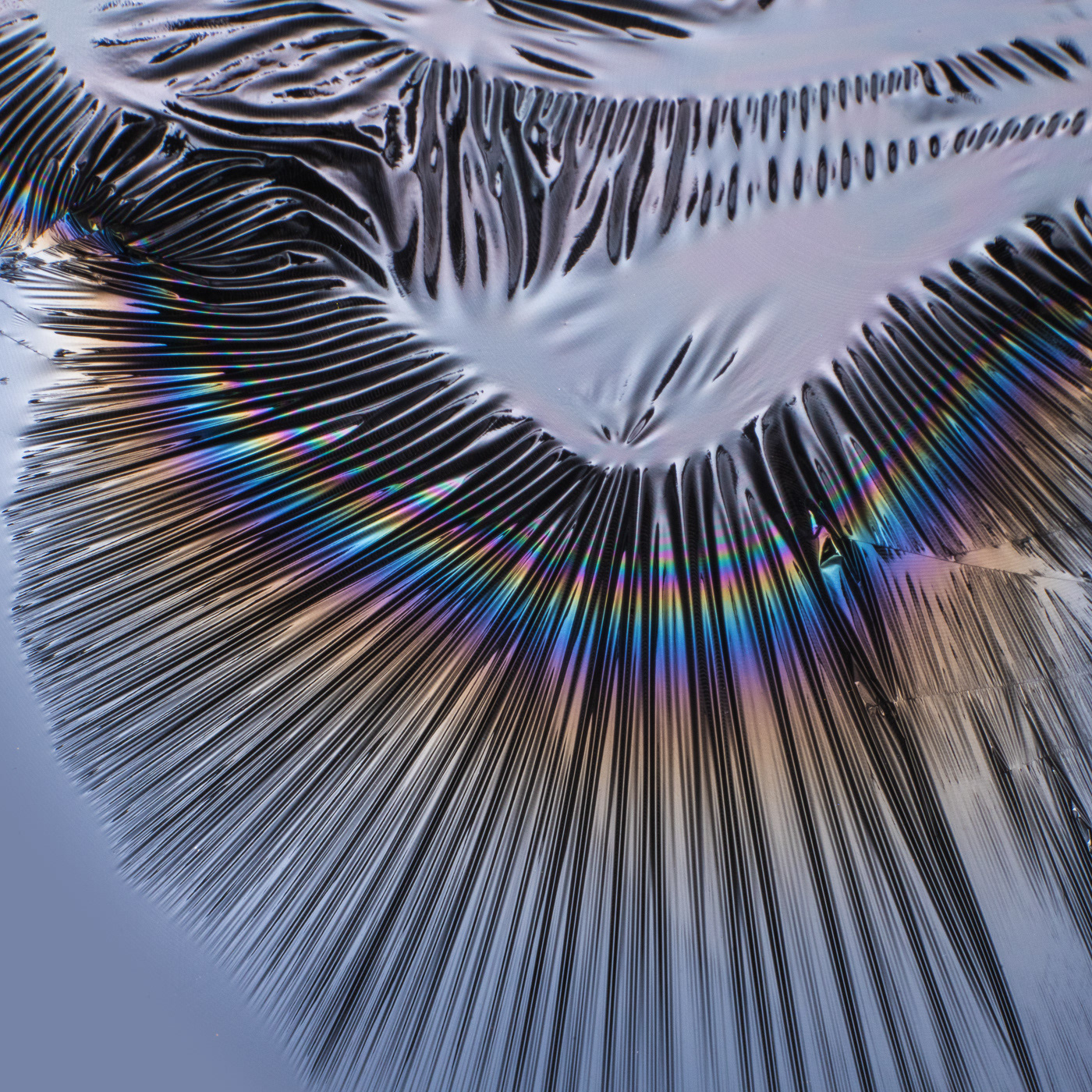 science iridescent Macro Photography rainbow chrome metallic holographic foil texture abstract