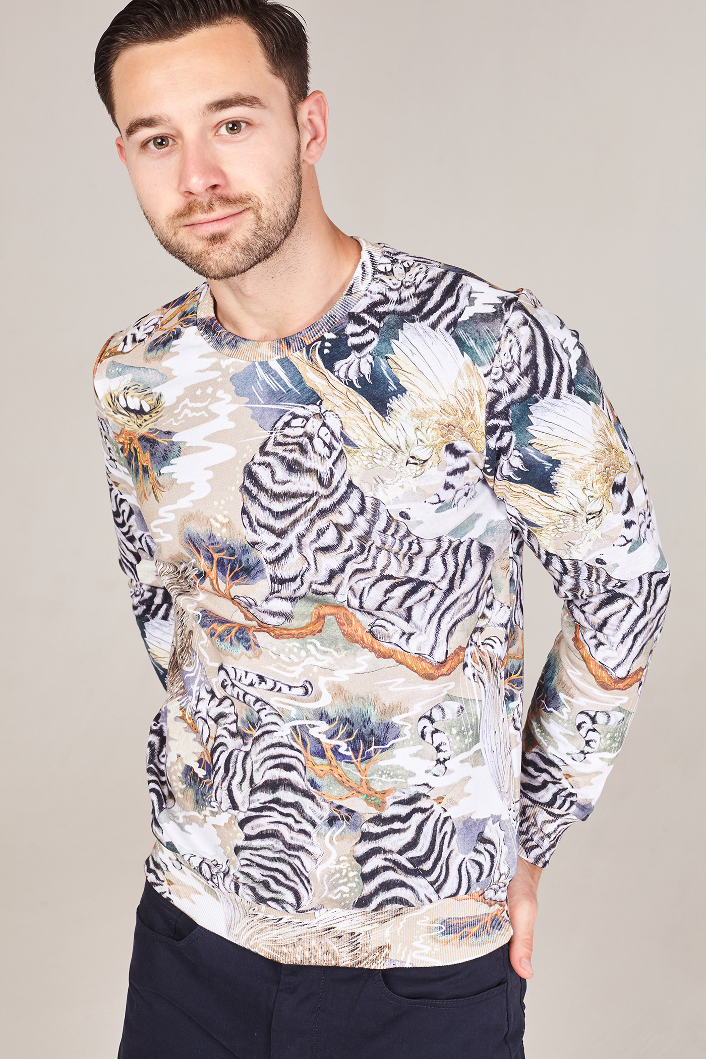 Fashion  pattern botanical ILLUSTRATION  dasha denke tiger eagle Sweatshirt Nature brown