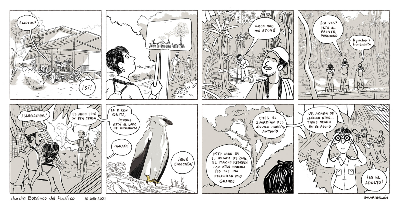 comic comicstrip ILLUSTRATION  narrative storytelling   colombia medellin