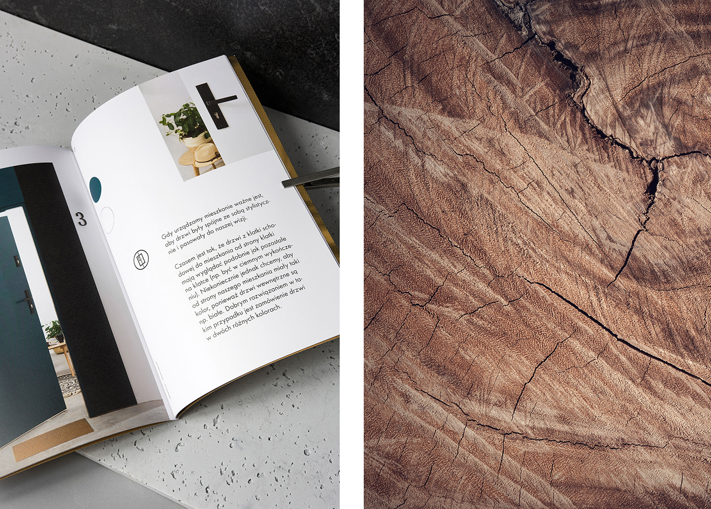Inter Door door wood leaves concrete interior design  interiors catalog publication editorial design 