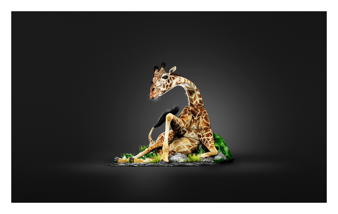 3D Advertising  affichage animals campagne communication girafe publicité zoo