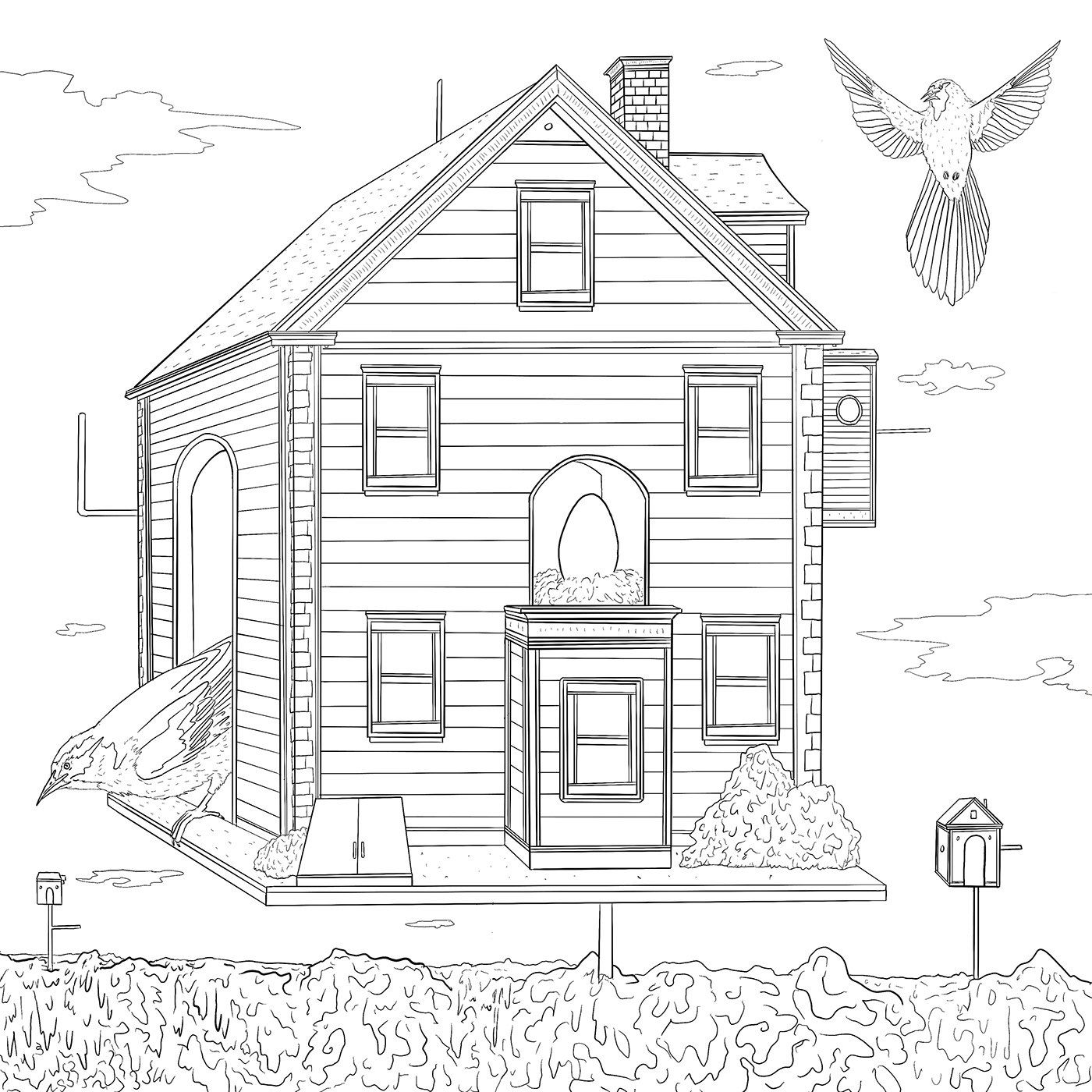 art design Drawing  architecture houses birds ILLUSTRATION  app