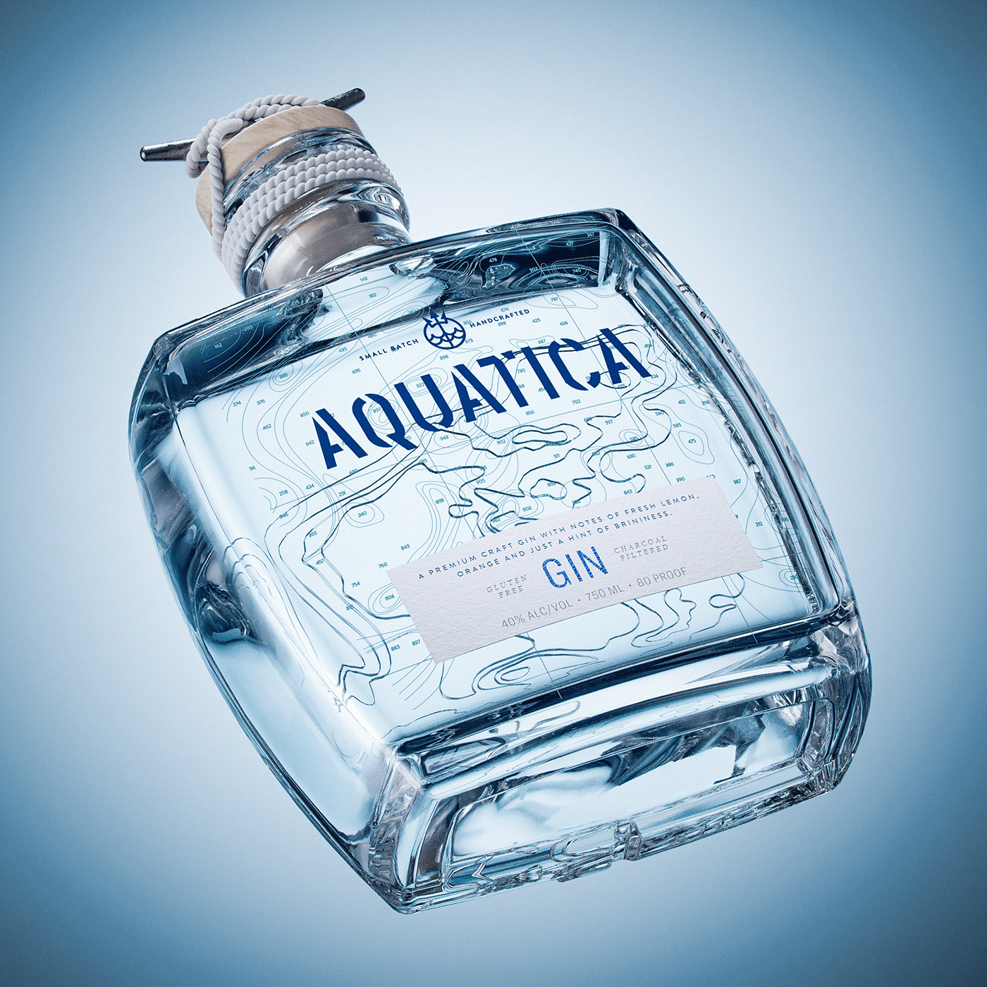 gin alcohol bottle Packaging Label Render visualization 3D luxury