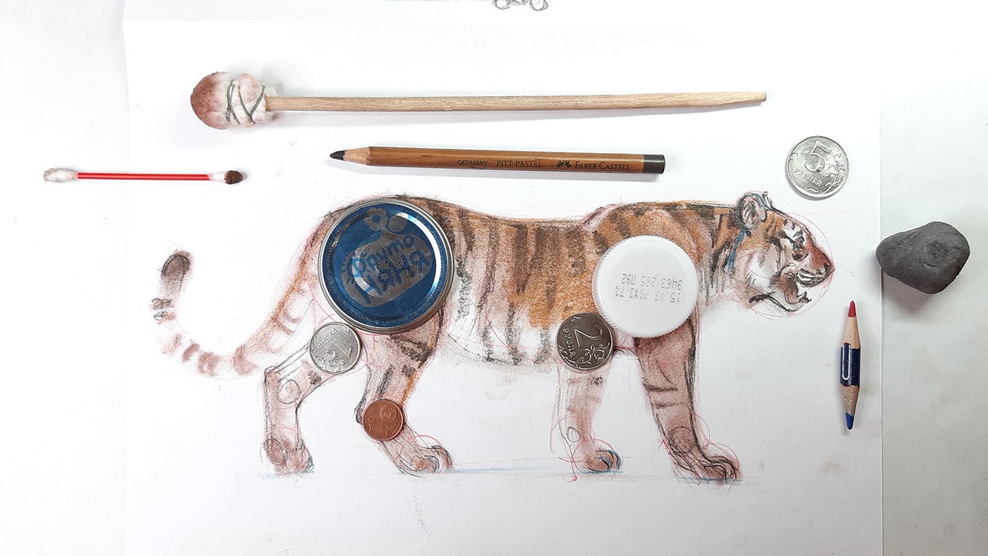 Drawing of a tiger video
