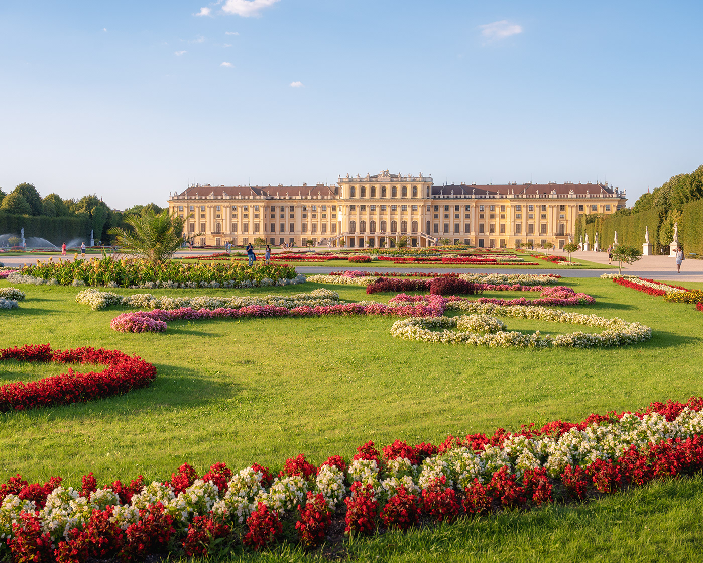 austria cityscape lightroom Nikon photographer Photography  schonbrunn Travel vienna