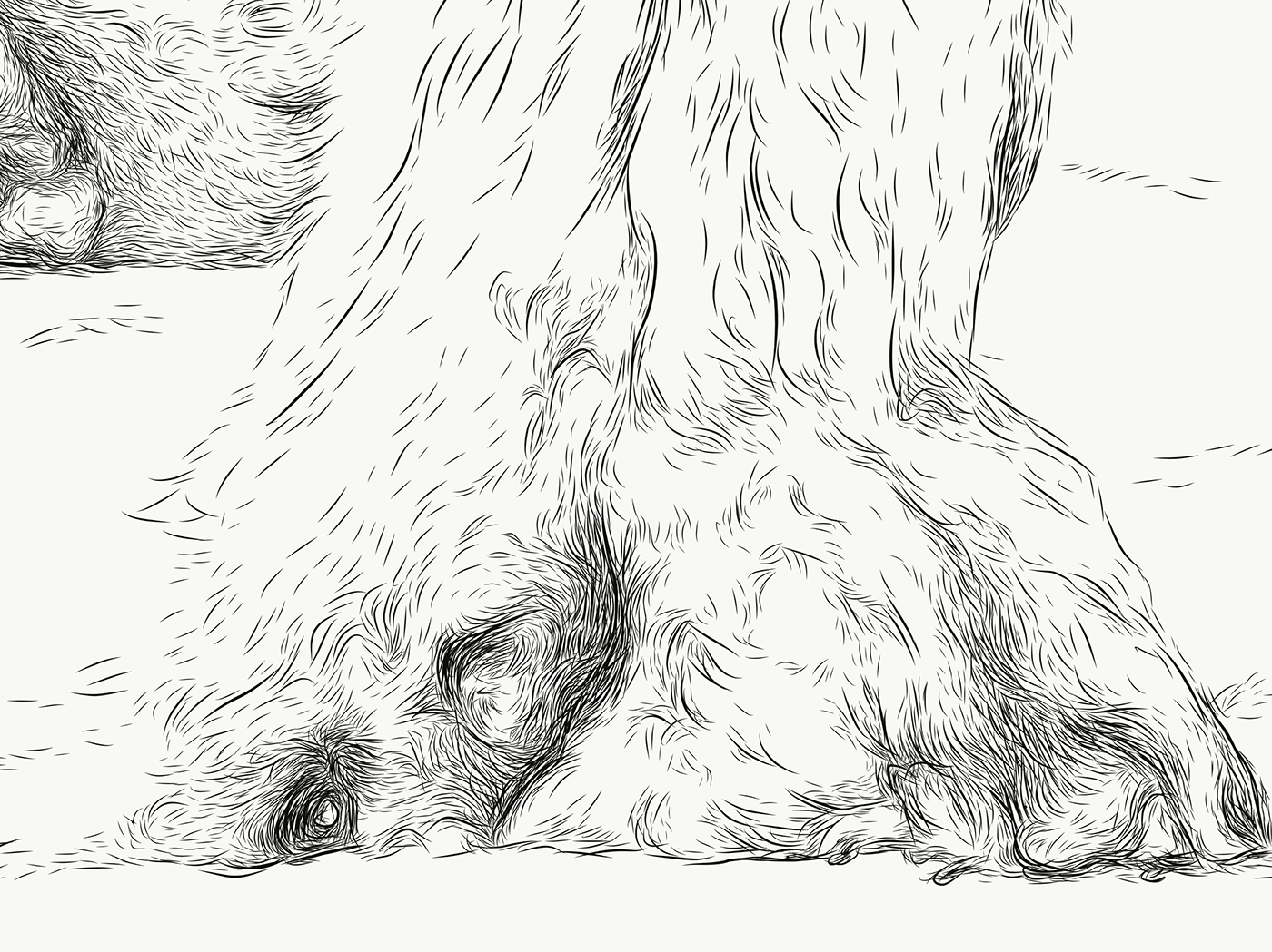wolfdog snow animal alberta Canada animalart sanctuary rescue cochrane adobedraw ipadpro applepencil DigitalIllustration ILLUSTRATION  sketch digitalart dogs wolves pen vector vectorart