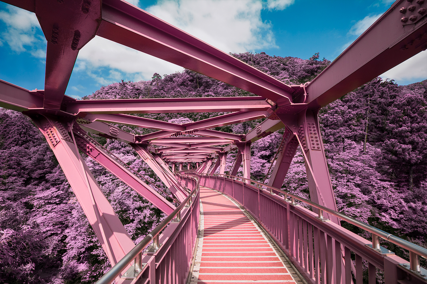 infrared Canon Photography  japan Nature architecture Travel photojournalism  digital