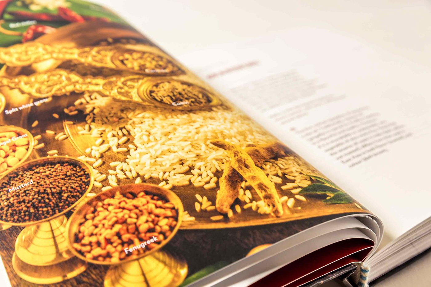 Open spread of the book's seasoning page.
