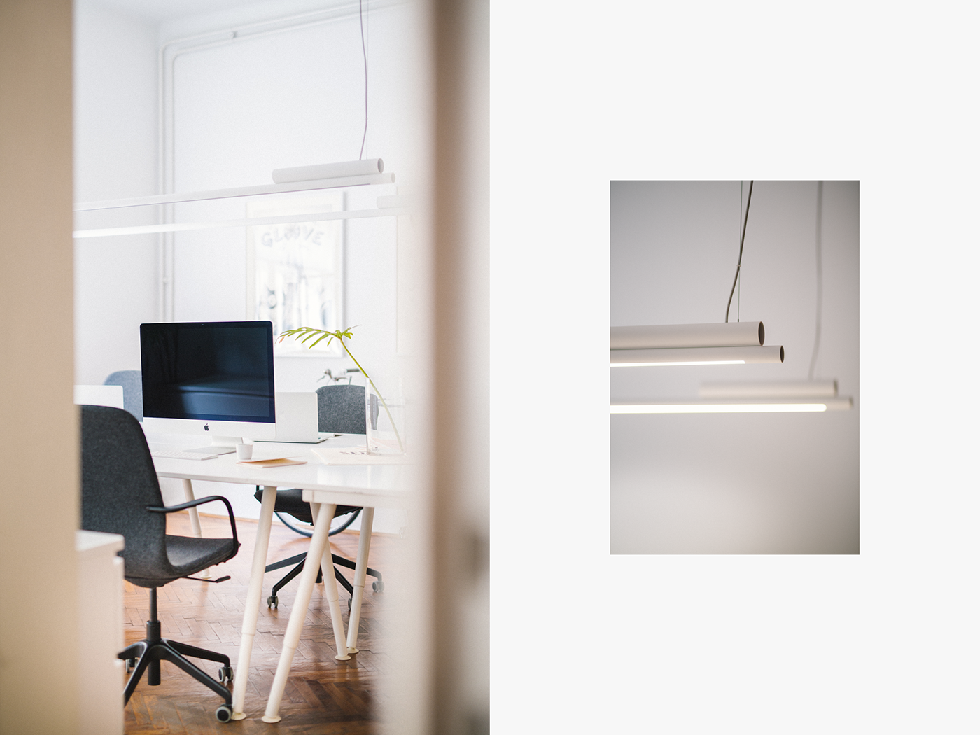 Office Croatia workspace Interior pink plants