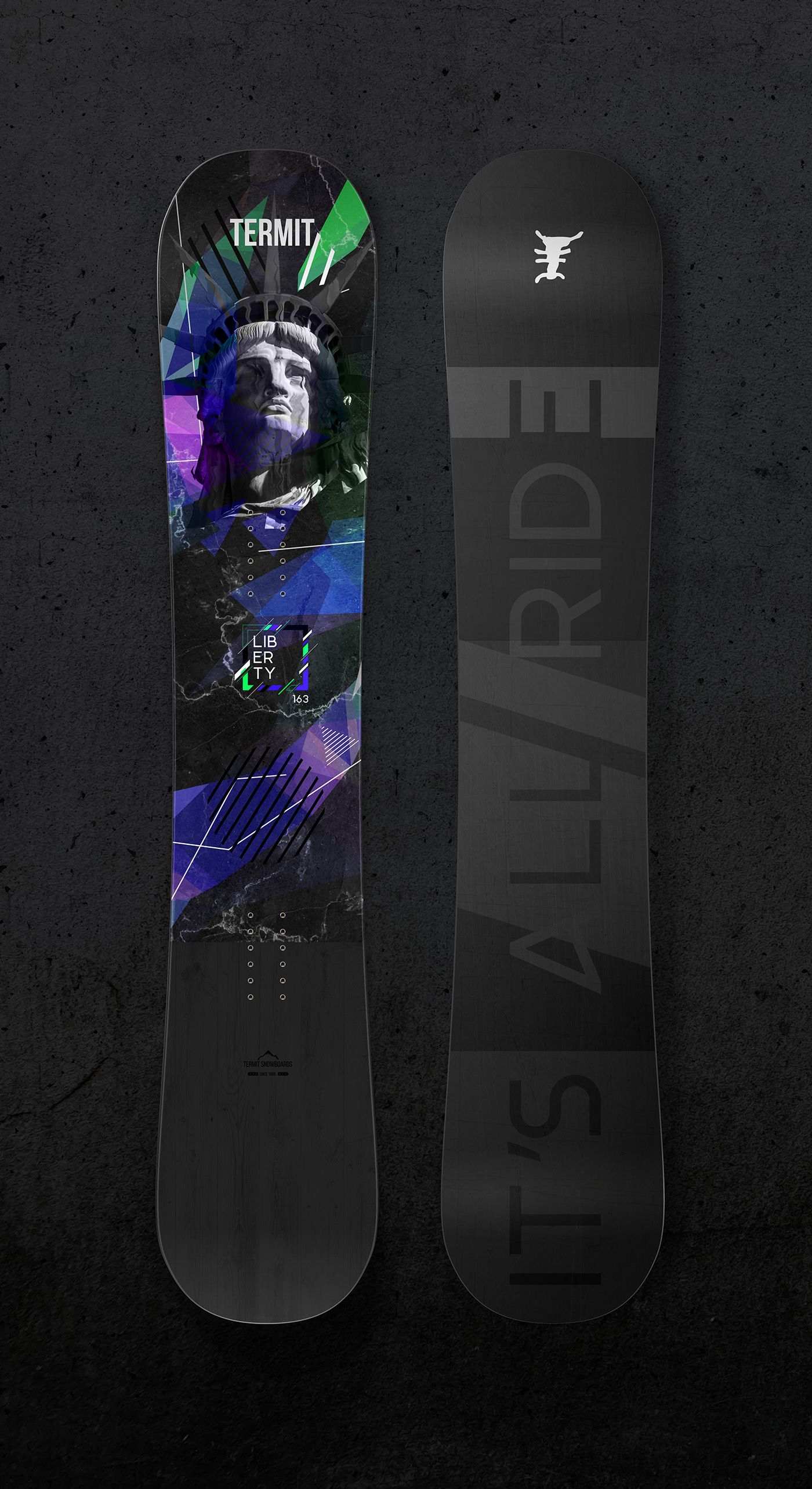 graphic design  snowboard sport termit