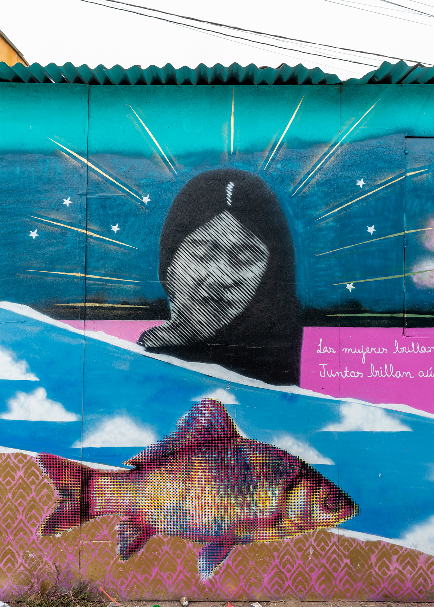 Amazon bird female feminism fish Graffiti Mural stencil streetart woman