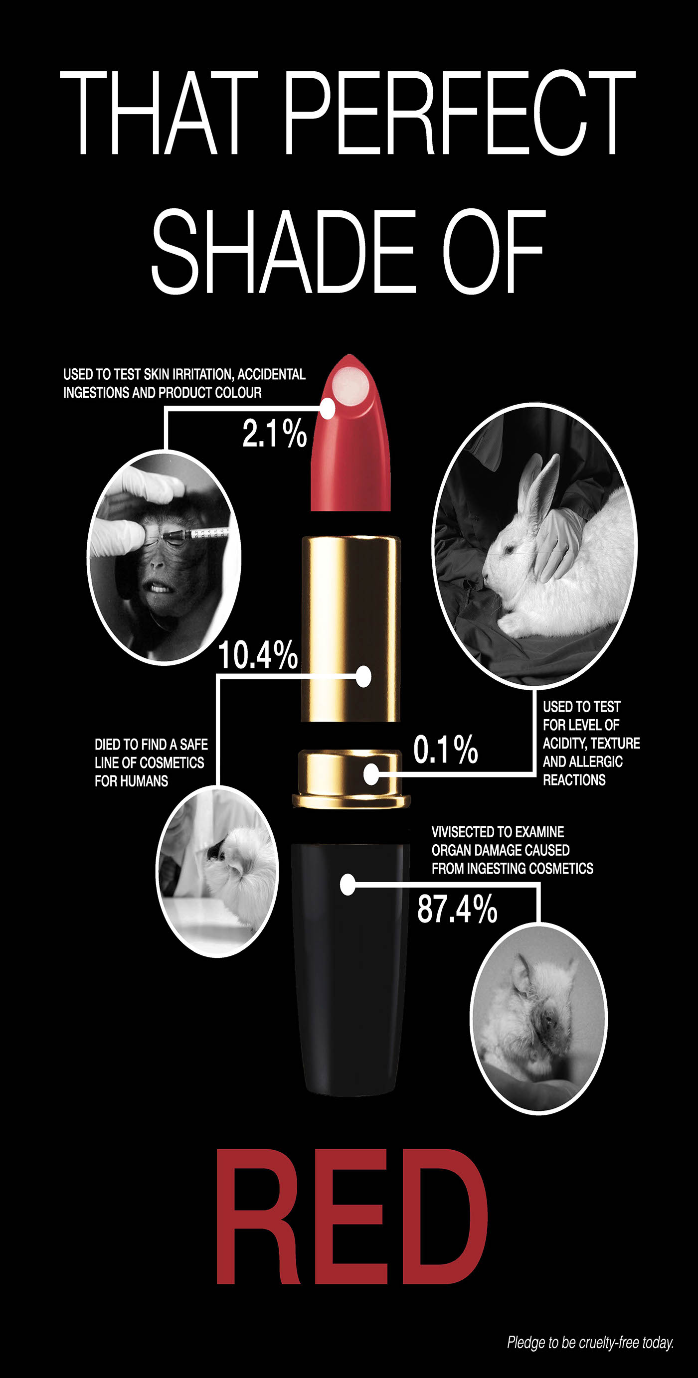 Cosmetic Testing On Animals - Poster & Info-graphics on Behance