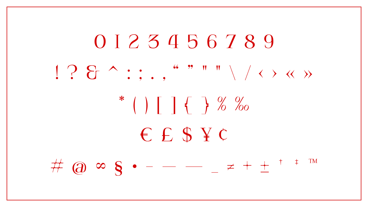 type design serif bold font free Typeface typography   typedesign bird