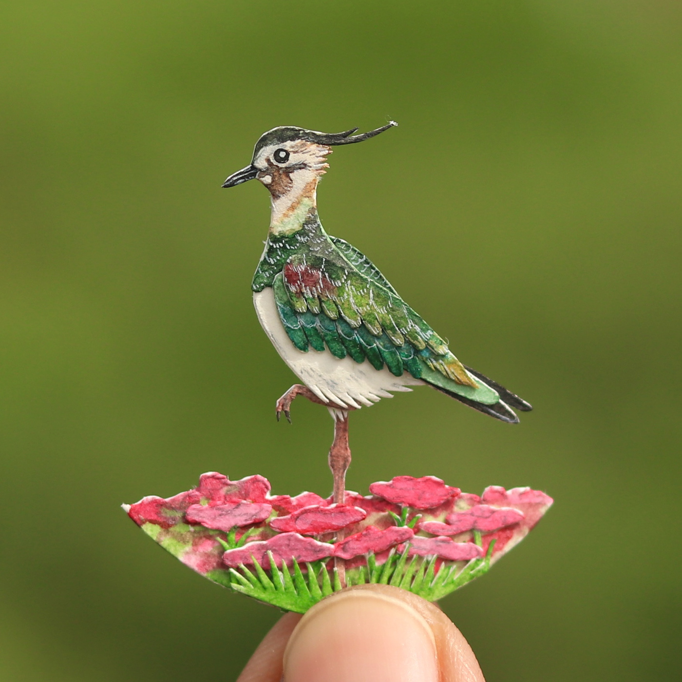 Miniature paperart ILLUSTRATION  Behance craft wildlifeillustration watercolorpainting  birdillustration paper installation natural history