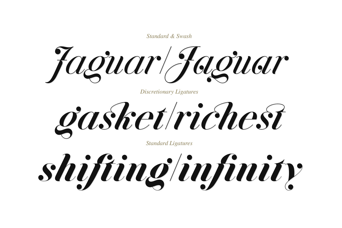 logo magazine wedding serif modern Beautiful font swash Free font free