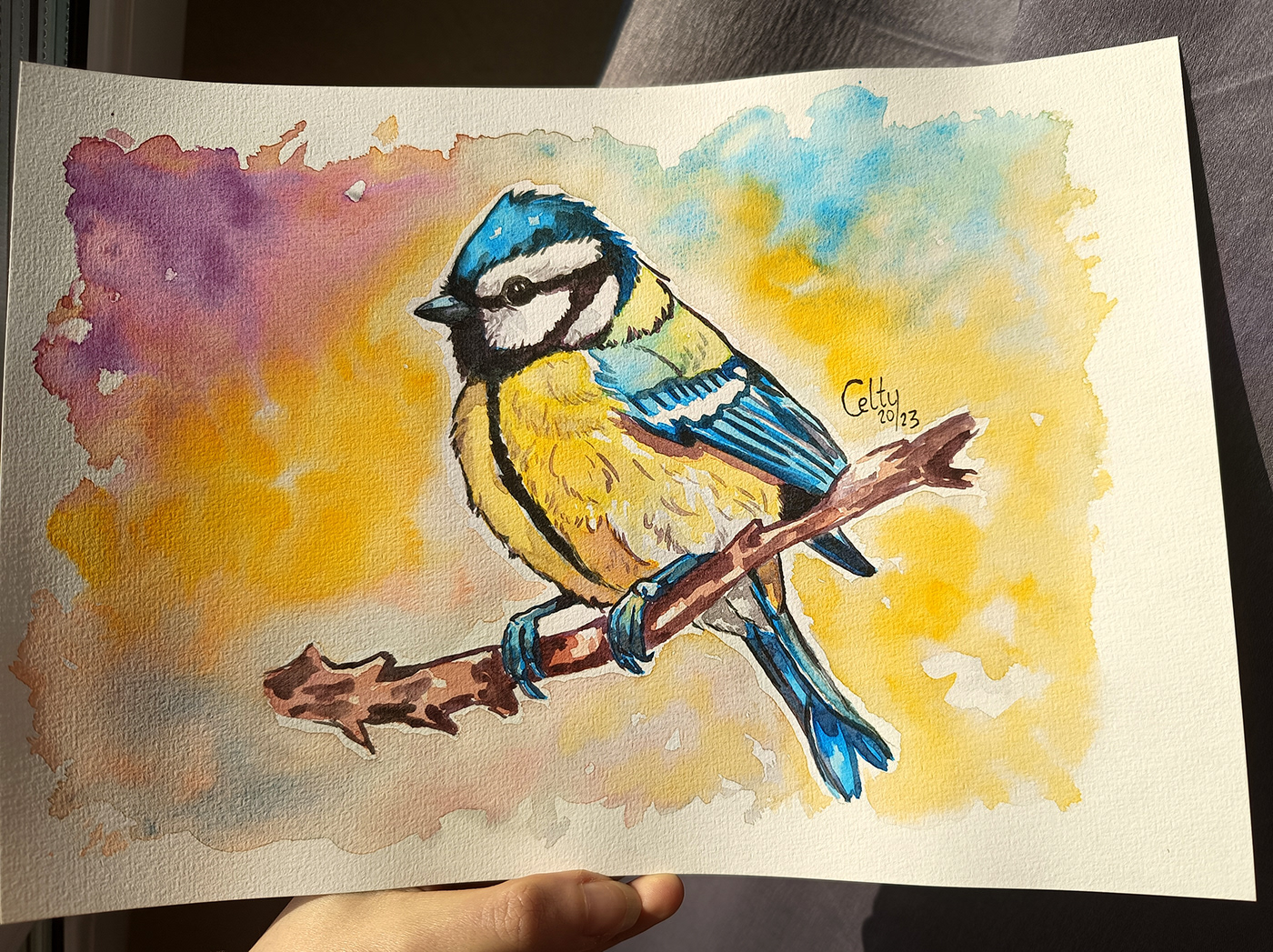 watercolor painting   Drawing  artwork sketch TIT bird handmade
