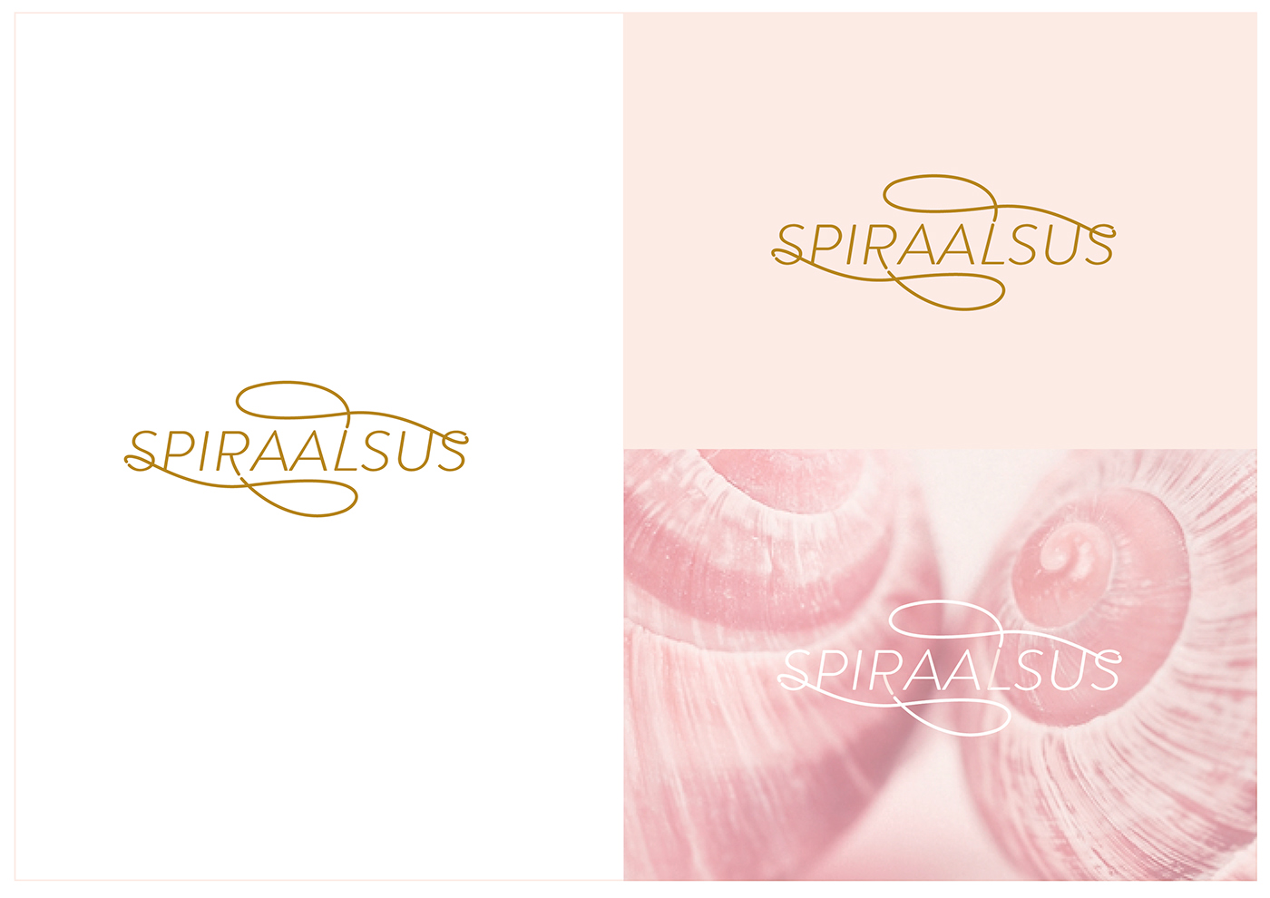 logo spirality pink feminine light line