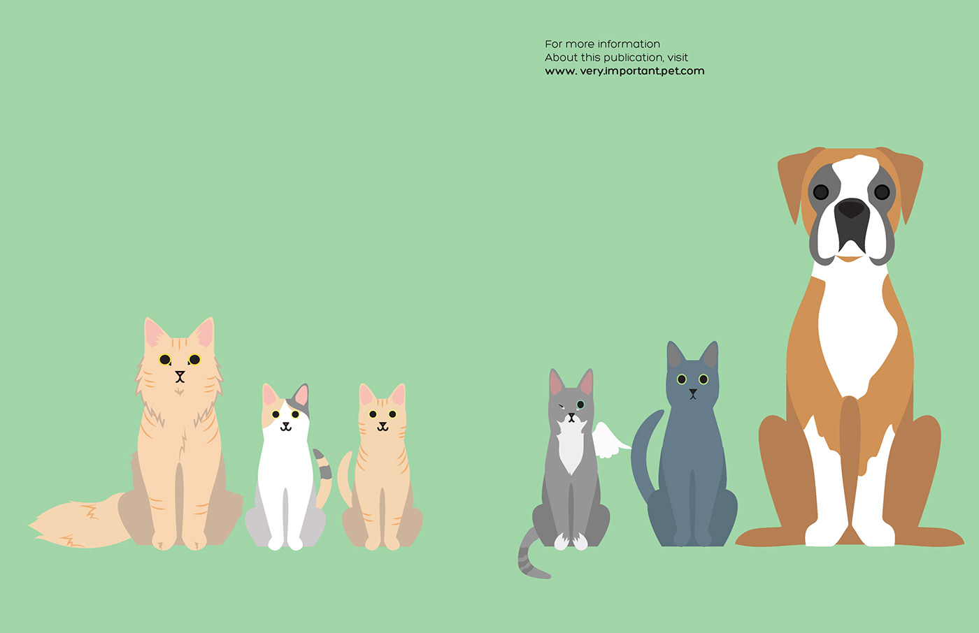 magazine Pet Icon graphic ILLUSTRATION  design concept cats dog cute