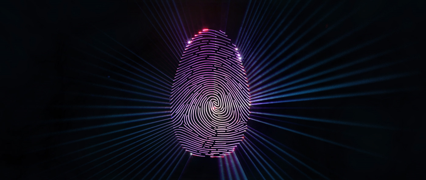 Permutations motion plus design cinema 4d maxon adobe dropbox motion graphics live action laser cutting octane