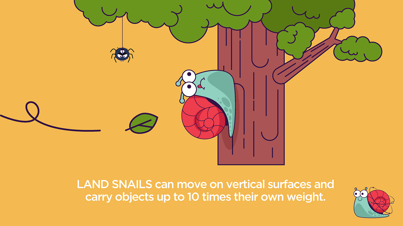 snail ILLUSTRATION  Character design  kid illustration
