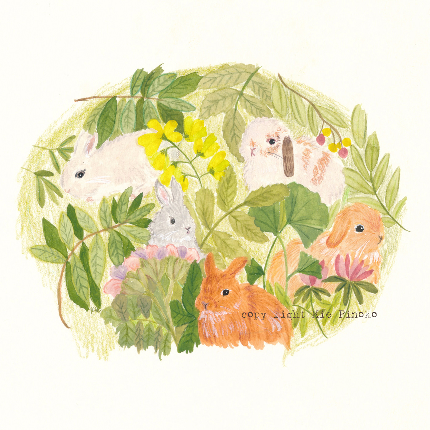 cute cuteillustration forest herbal kids illustration Packaging packaging illustration rabbit rabbits