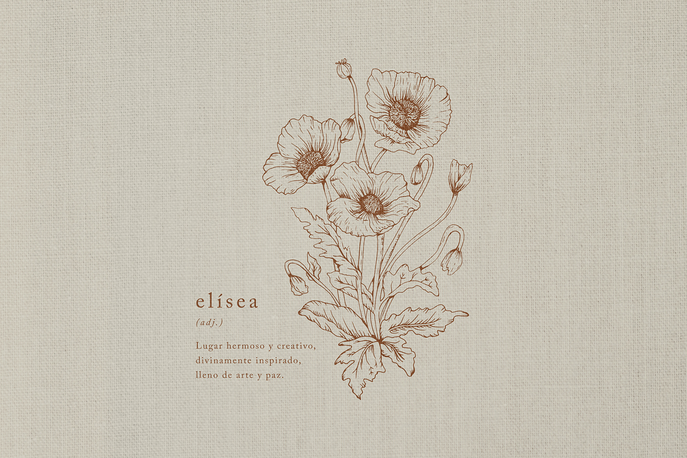 brand identity branding  Concept store cottagecore engraving Flowers Illustrated Logo ILLUSTRATION  Nature slow living