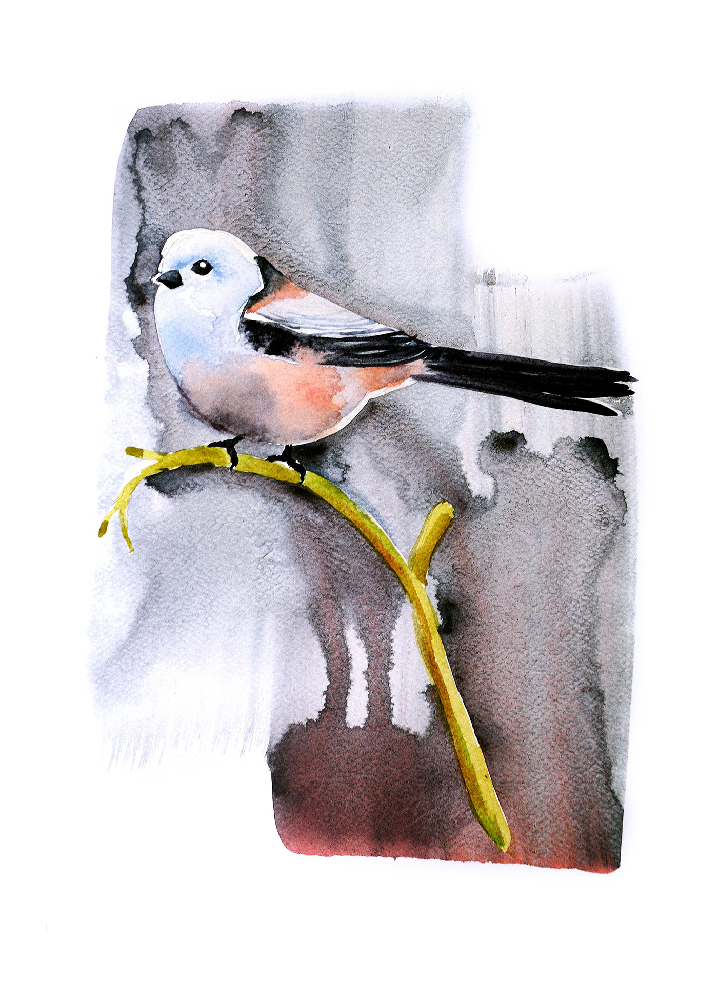 watercolor birds ilustracion arte