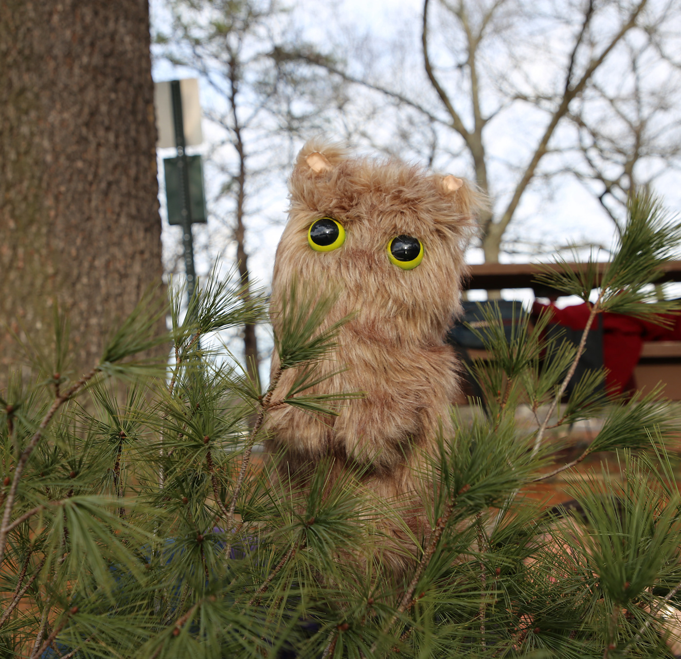 puppet Photography  creature design animals Cat costume grant prop