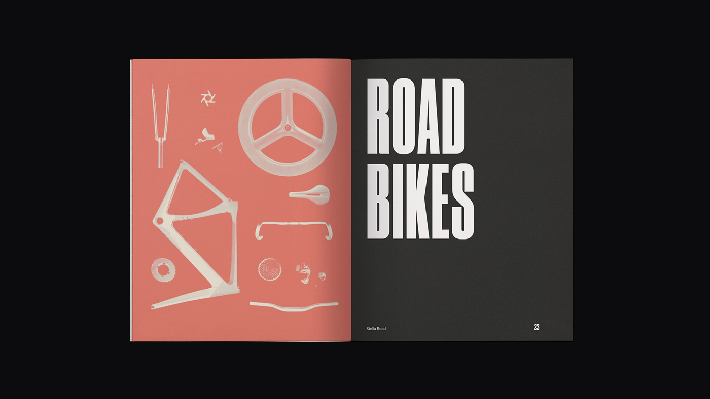 bike brand branding  RESTYLING Catalogue premium Cycling poster Customize identity art direction 