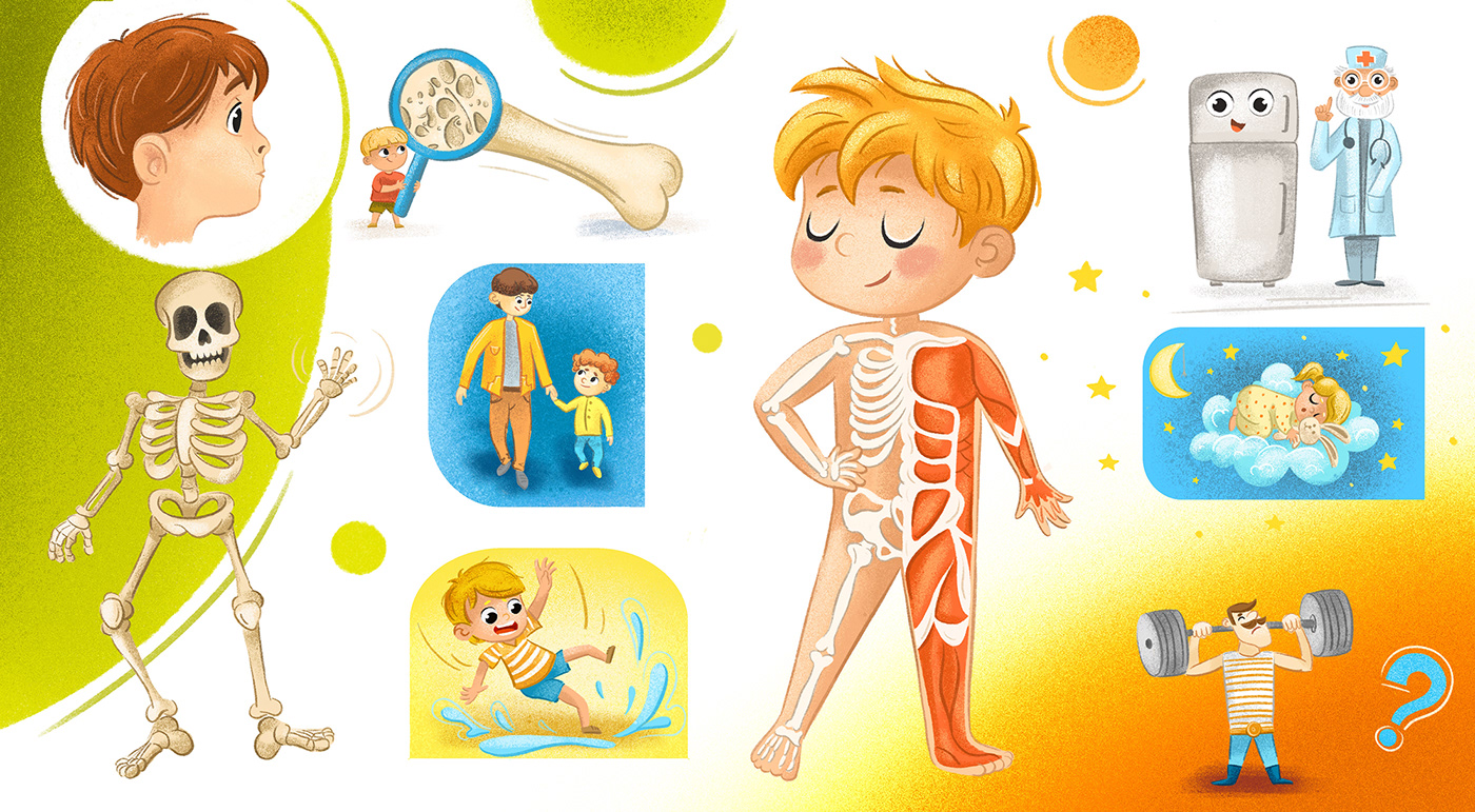 ILLUSTRATION  childrens book childrens illustration book illustration anatomy book humans body Health Picture book Digital Art  lift the flap