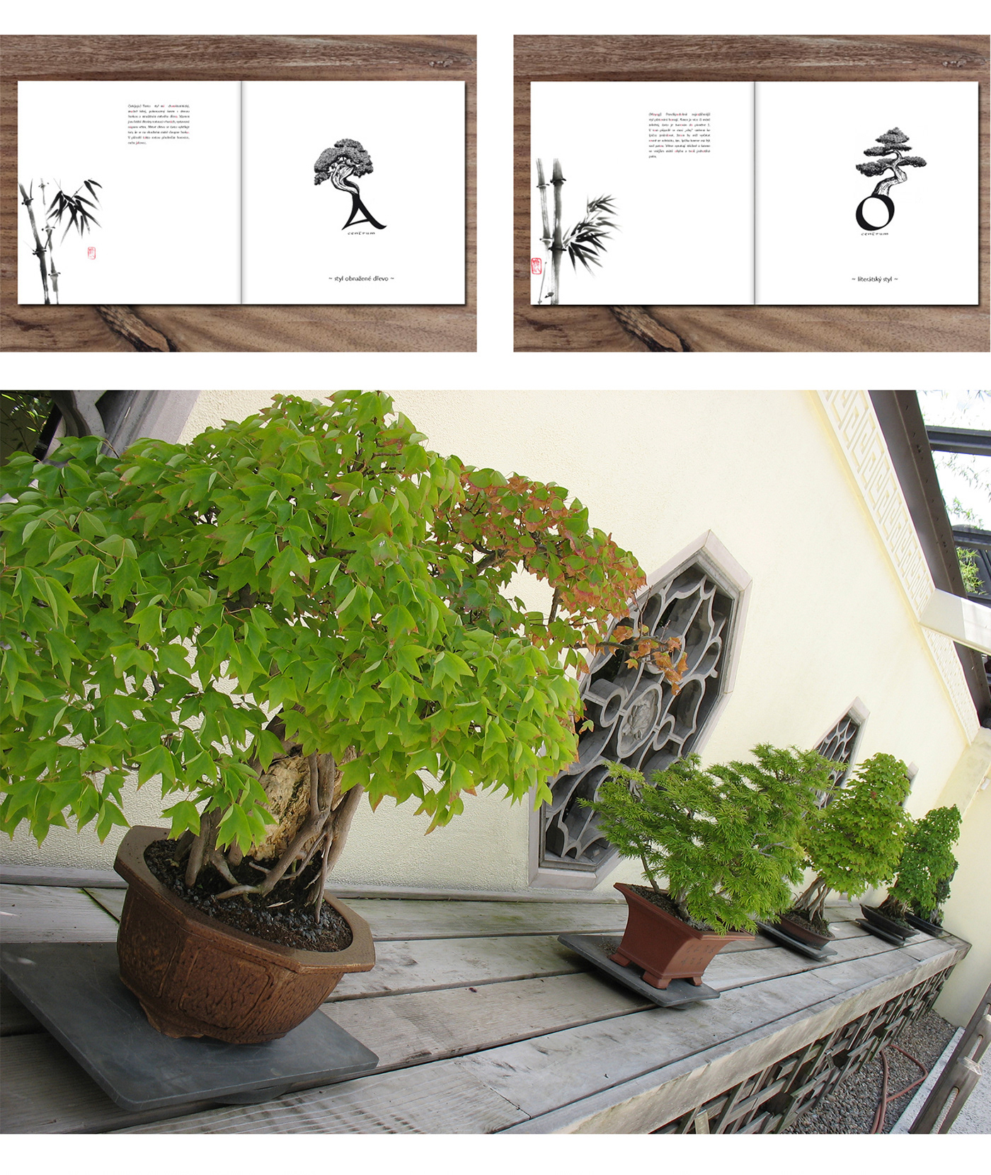 bonsai scisor Tree  water japan kaligraphic