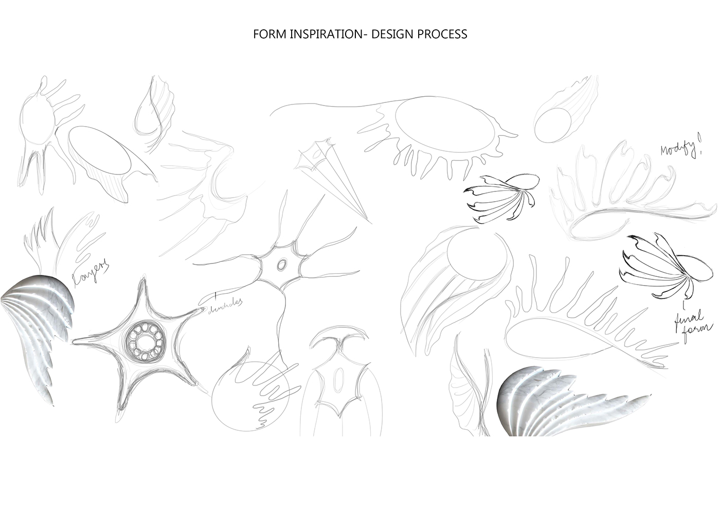 product design  inspiration design form generation lion fish