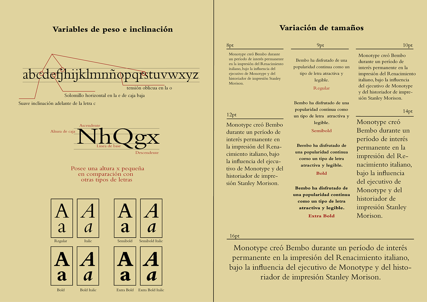 adobe illustrator Catalogue design editorial typography  