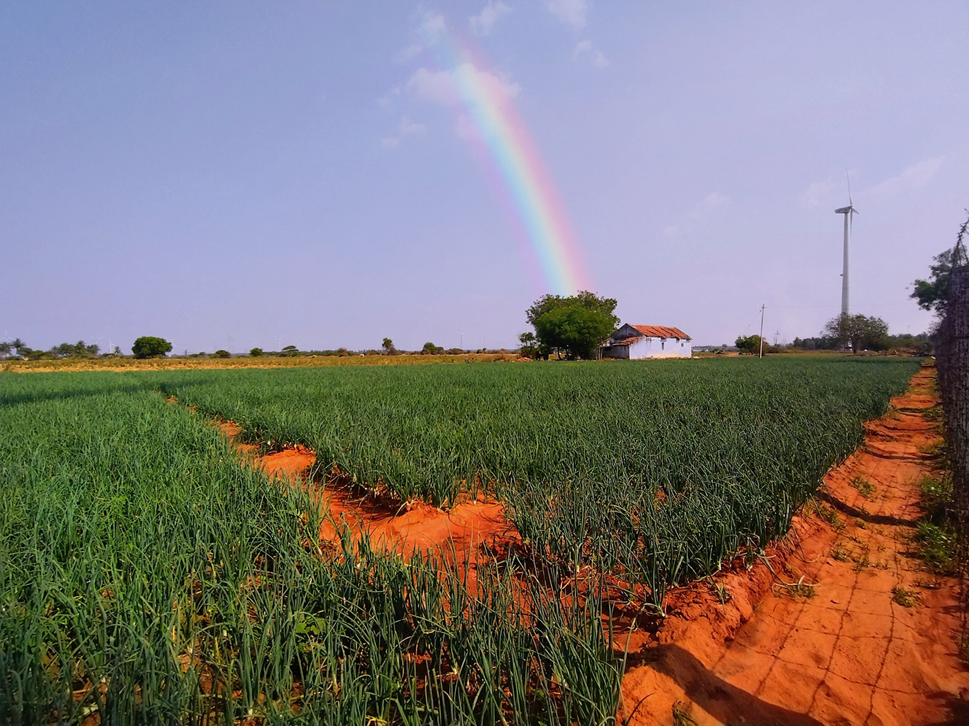 rainbow nature photography Travel Photography  cinematography