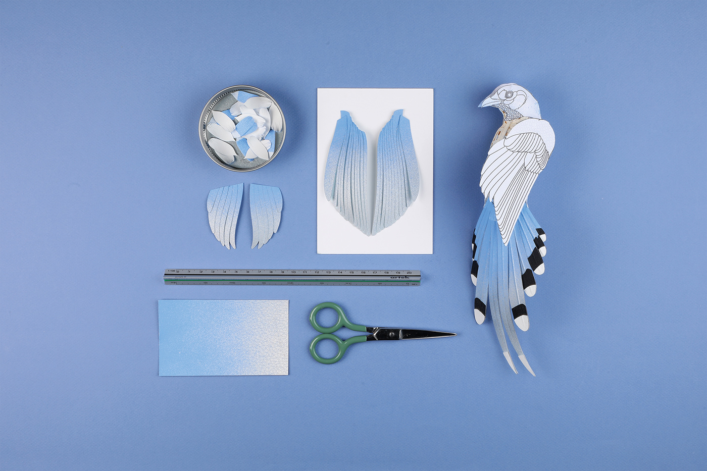 artwork bird Character design  ILLUSTRATION  Nature paper papercraft papercut Photography  sculpture