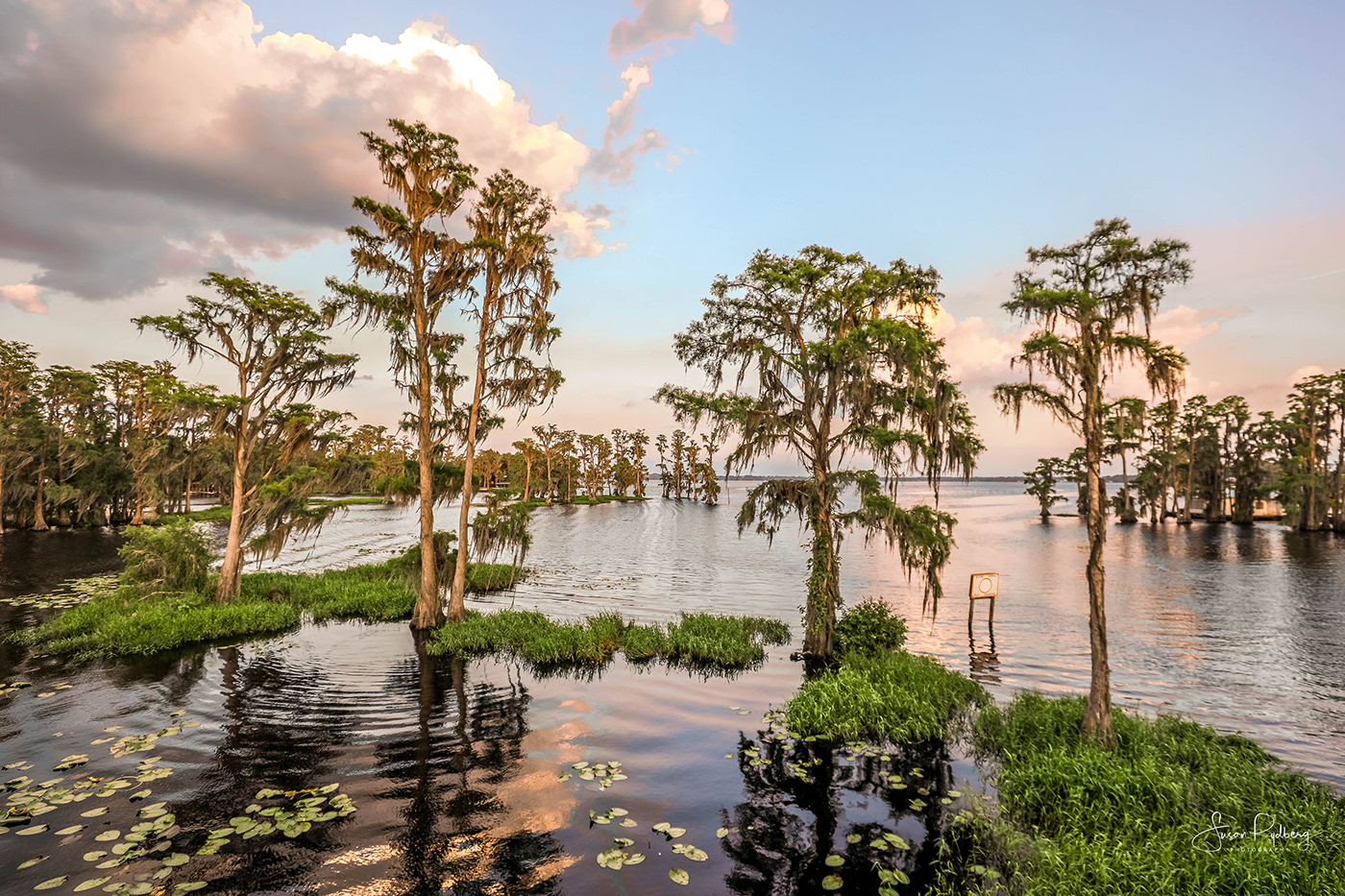 lake water lightroom photographer Nature Travel Landscape sunset cypress trees